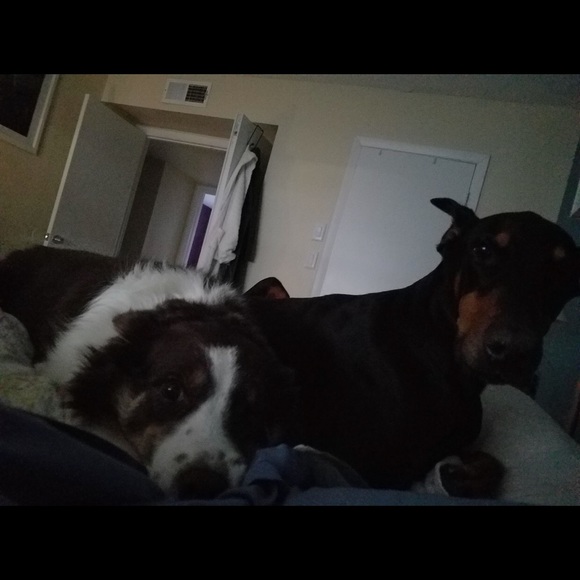 Meet your Posher, Allison - Picture 2 of 2